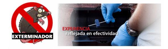 cajas para rata