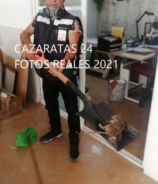 EXTERMINADOR 24 HORAS CIUDAD DE MEXICO