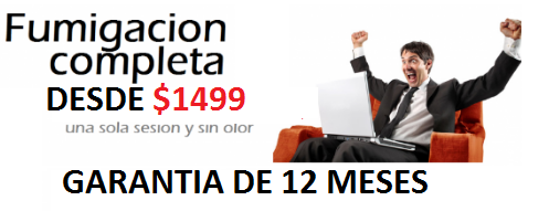 FUMIGACIONES PRECIO EN MEXICO