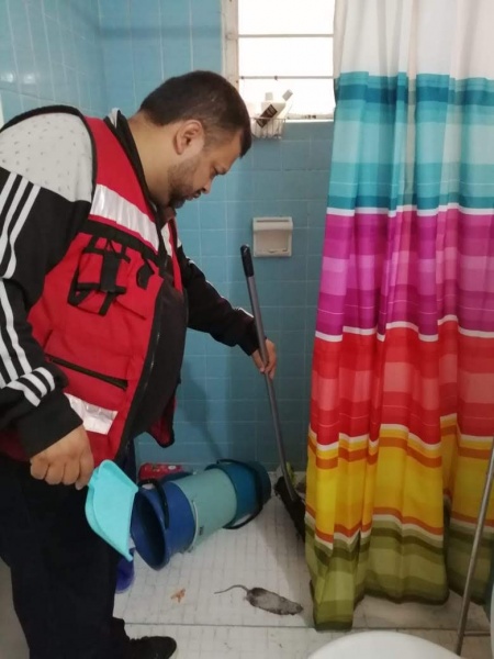 eliminar rata estado de mexico