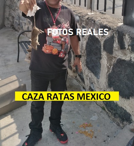 cazador de ratas exterminador 2021